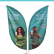 WindBanner Completo